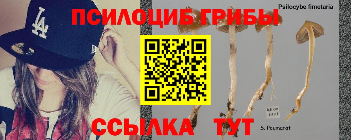 Воскресенск  Псилоцибиновые грибы Psilocybine cubensis  хочу наркоту  Вход с VPN 